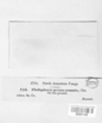 Image Associated With the Occurence